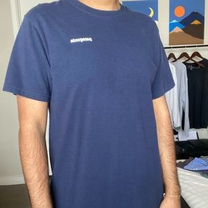 patagonia t shirt